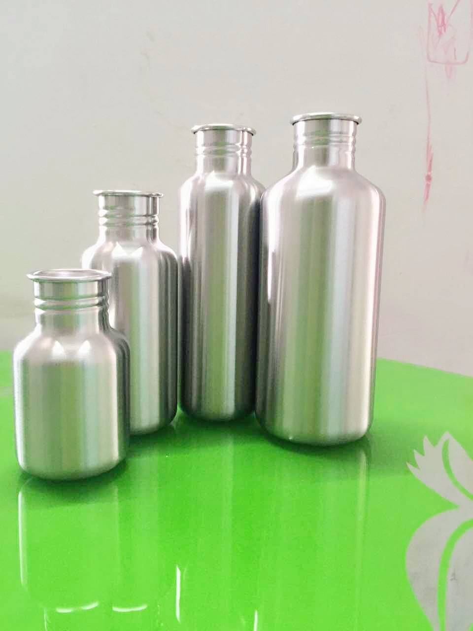 Stainless Steel Insulated Water Bottle